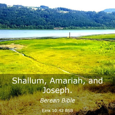 Picture 03 - Ezra 10:42 BSB - Shallum, Amariah, and - Bible Verse Picture