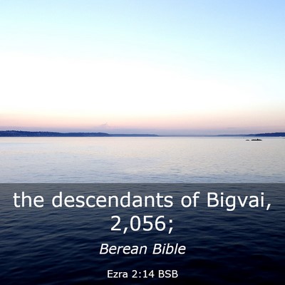 Picture 03 - Ezra 2:14 BSB - the descendants of Bigvai, - Bible Verse Picture