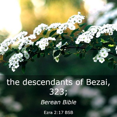 Picture 03 - Ezra 2:17 BSB - the descendants of Bezai, - Bible Verse Picture