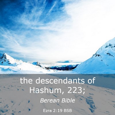 Picture 03 - Ezra 2:19 BSB - the descendants of Hashum, - Bible Verse Picture
