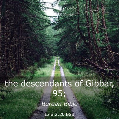 Picture 03 - Ezra 2:20 BSB - the descendants of Gibbar, - Bible Verse Picture