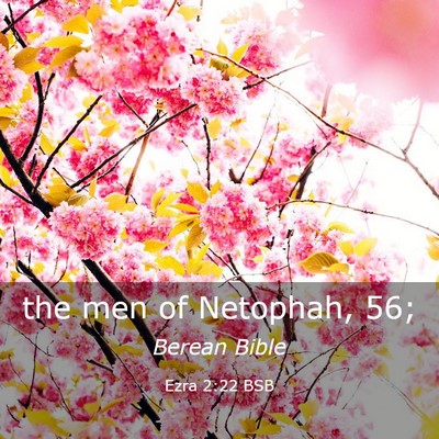 Picture 03 - Ezra 2:22 BSB - the men of Netophah, - Bible Verse Picture