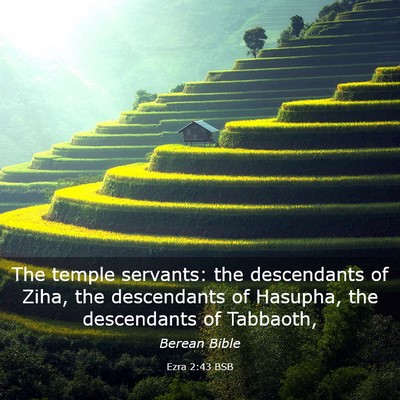 Picture 03 - Ezra 2:43 BSB - The temple servants: the descendants of Ziha, the - Bible Verse Picture
