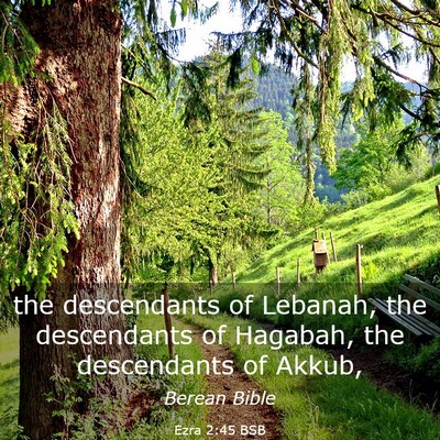 Picture 03 - Ezra 2:45 BSB - the descendants of Lebanah, the descendants of - Bible Verse Picture