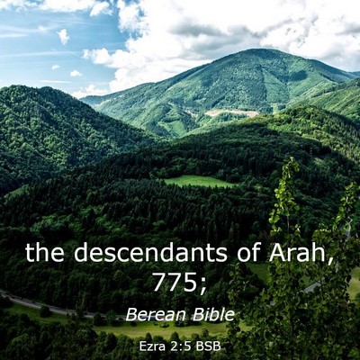 Picture 03 - Ezra 2:5 BSB - the descendants of Arah, - Bible Verse Picture