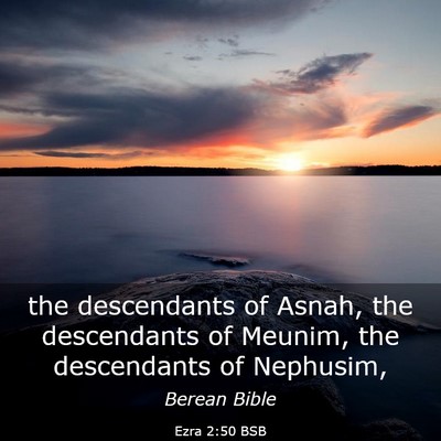 Picture 03 - Ezra 2:50 BSB - the descendants of Asnah, the descendants of - Bible Verse Picture