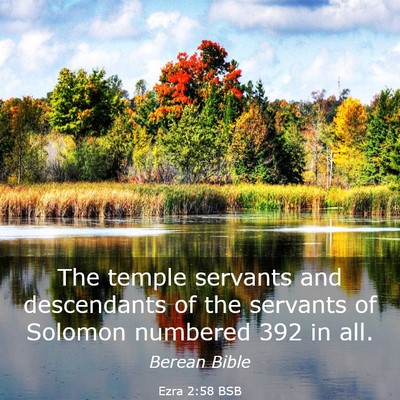 Picture 03 - Ezra 2:58 BSB - The temple servants and descendants of the - Bible Verse Picture