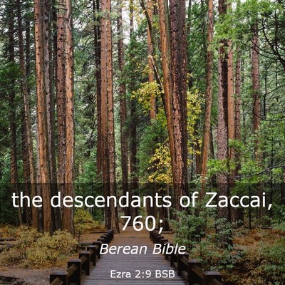 Picture 03 - Ezra 2:9 BSB - the descendants of Zaccai, - Bible Verse Picture