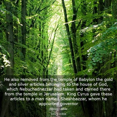 Picture 03 - Ezra 5:14 BSB - He also removed from the temple of Babylon the - Bible Verse Picture