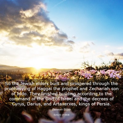 Picture 03 - Ezra 6:14 BSB - So the Jewish elders built and prospered through - Bible Verse Picture