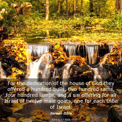 Picture 03 - Ezra 6:17 BSB - For the dedication of the house of God they - Bible Verse Picture