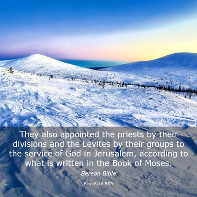 Picture 03 - Ezra 6:18 BSB - They also appointed the priests by their - Bible Verse Picture