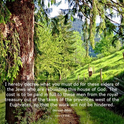 Picture 03 - Ezra 6:8 BSB - I hereby decree what you must do for these elders - Bible Verse Picture