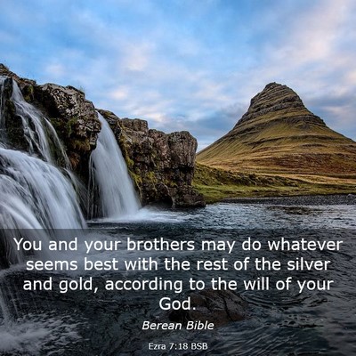 Picture 03 - Ezra 7:18 BSB - You and your brothers may do whatever seems best - Bible Verse Picture