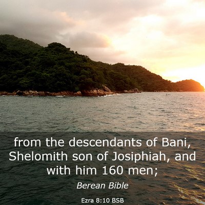 Picture 03 - Ezra 8:10 BSB - from the descendants of Bani, Shelomith son of - Bible Verse Picture