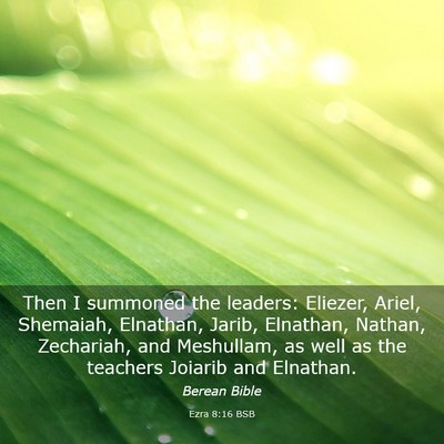Picture 03 - Ezra 8:16 BSB - Then I summoned the leaders: Eliezer, Ariel, - Bible Verse Picture