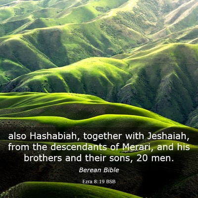 Picture 03 - Ezra 8:19 BSB - also Hashabiah, together with Jeshaiah, from the - Bible Verse Picture