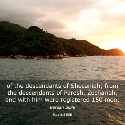 Picture 03 - Ezra 8:3 BSB - of the descendants of Shecaniah; from the - Bible Verse Picture
