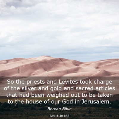 Picture 03 - Ezra 8:30 BSB - So the priests and Levites took charge of the - Bible Verse Picture