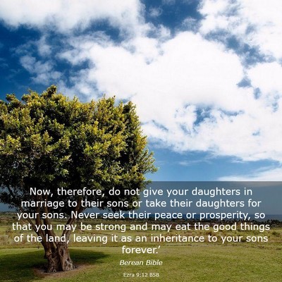 Picture 03 - Ezra 9:12 BSB - Now, therefore, do not give your daughters in - Bible Verse Picture