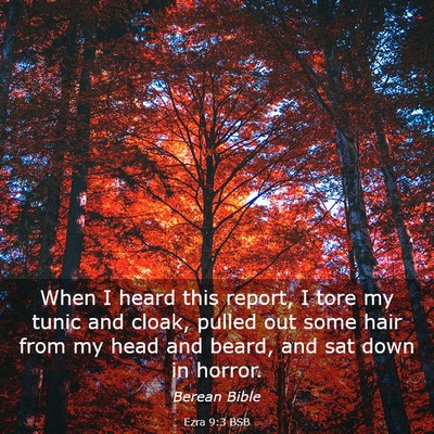 Picture 03 - Ezra 9:3 BSB - When I heard this report, I tore my tunic and - Bible Verse Picture