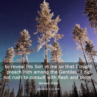 Picture 03 - Galatians 1:16 BSB - to reveal His Son in me so that I might preach - Bible Verse Picture