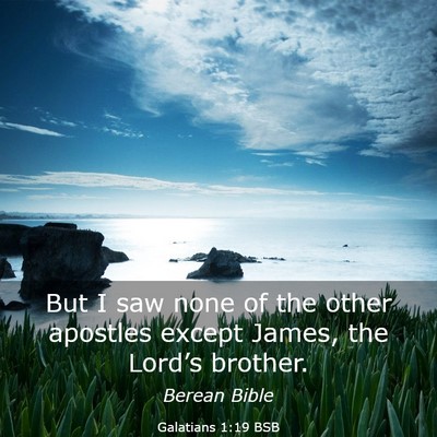 Picture 03 - Galatians 1:19 BSB - But I saw none of the other apostles except - Bible Verse Picture