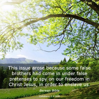 Picture 03 - Galatians 2:4 BSB - This issue arose because some false brothers had - Bible Verse Picture