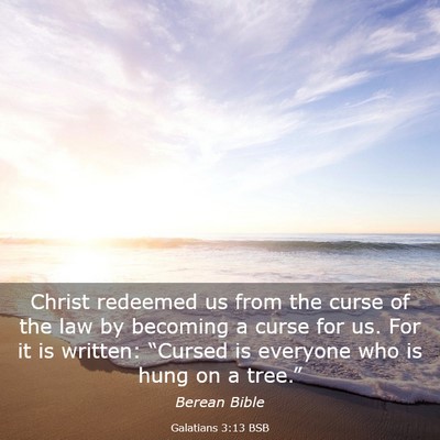 Picture 03 - Galatians 3:13 BSB - Christ redeemed us from the curse of the law by - Bible Verse Picture