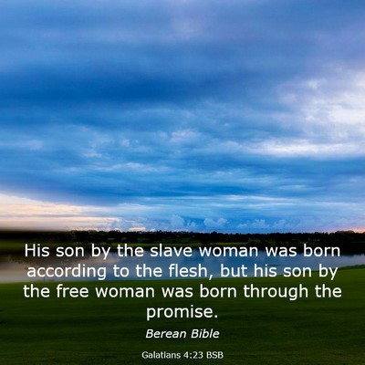 Picture 03 - Galatians 4:23 BSB - His son by the slave woman was born according to - Bible Verse Picture