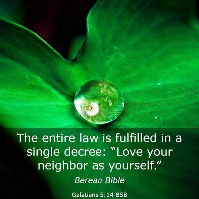 Picture 03 - Galatians 5:14 BSB - The entire law is fulfilled in a single decree: - Bible Verse Picture