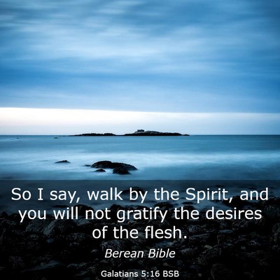 Picture 03 - Galatians 5:16 BSB - So I say, walk by the Spirit, and you will not - Bible Verse Picture