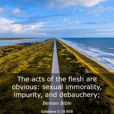 Picture 03 - Galatians 5:19 BSB - The acts of the flesh are obvious: sexual - Bible Verse Picture