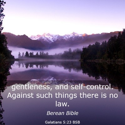 Picture 03 - Galatians 5:23 BSB - gentleness, and self-control. Against such things - Bible Verse Picture