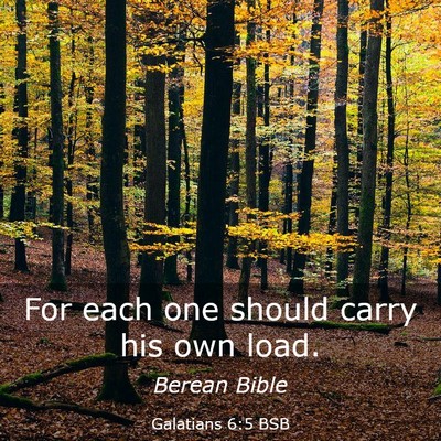 Picture 03 - Galatians 6:5 BSB - For each one should carry his own - Bible Verse Picture