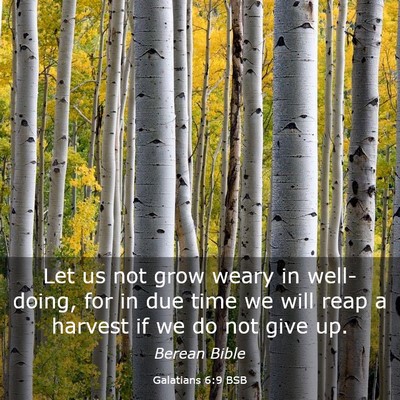 Picture 03 - Galatians 6:9 BSB - Let us not grow weary in well-doing, for in due - Bible Verse Picture