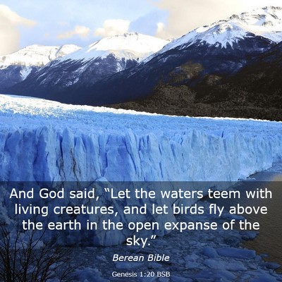 Picture 03 - Genesis 1:20 BSB - And God said, “Let the waters teem with living - Bible Verse Picture