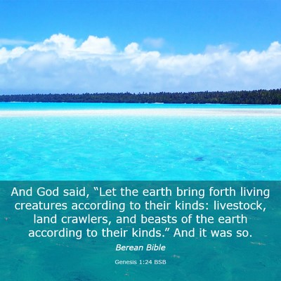 Picture 03 - Genesis 1:24 BSB - And God said, “Let the earth bring forth living - Bible Verse Picture