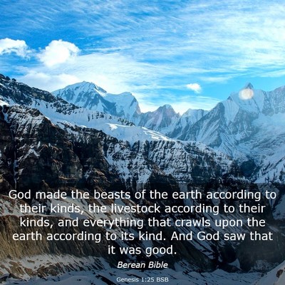Picture 03 - Genesis 1:25 BSB - God made the beasts of the earth according to - Bible Verse Picture