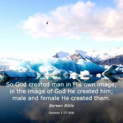 Picture 03 - Genesis 1:27 BSB - So God created man in His own image; in the image - Bible Verse Picture