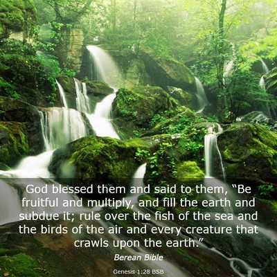 Picture 03 - Genesis 1:28 BSB - God blessed them and said to them, “Be fruitful - Bible Verse Picture