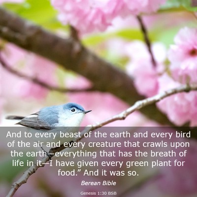 Picture 03 - Genesis 1:30 BSB - And to every beast of the earth and every bird of - Bible Verse Picture