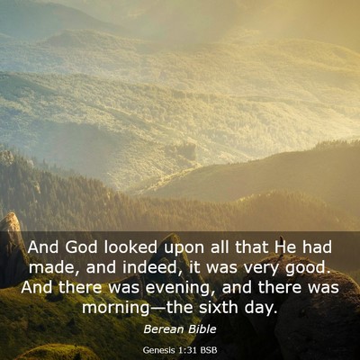 Picture 03 - Genesis 1:31 BSB - And God looked upon all that He had made, and - Bible Verse Picture