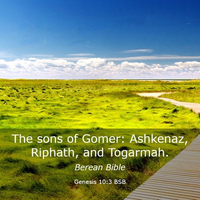 Picture 03 - Genesis 10:3 BSB - The sons of Gomer: Ashkenaz, Riphath, and - Bible Verse Picture