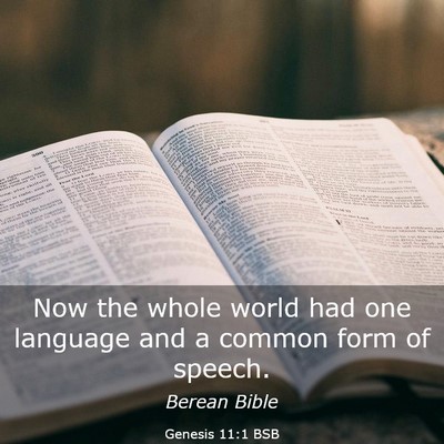 Picture 03 - Genesis 11:1 BSB - Now the whole world had one language and a common - Bible Verse Picture