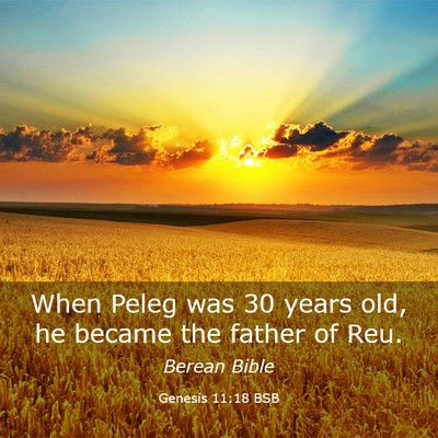 Picture 03 - Genesis 11:18 BSB - When Peleg was 30 years old, he became the father - Bible Verse Picture