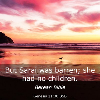 Picture 03 - Genesis 11:30 BSB - But Sarai was barren; she had no - Bible Verse Picture