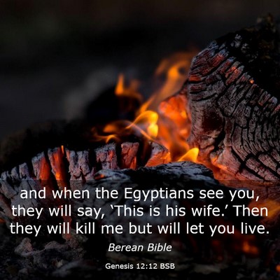Picture 03 - Genesis 12:12 BSB - and when the Egyptians see you, they will say, - Bible Verse Picture