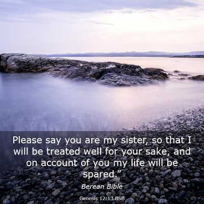 Picture 03 - Genesis 12:13 BSB - Please say you are my sister, so that I will be - Bible Verse Picture