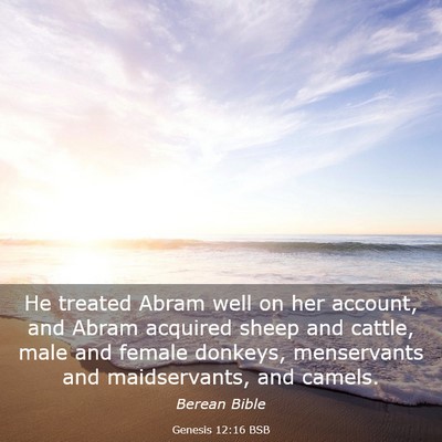 Picture 03 - Genesis 12:16 BSB - He treated Abram well on her account, and Abram - Bible Verse Picture